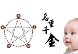 八字偏弱五行不缺的人好不好
