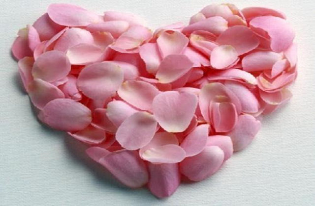 能引起烂桃花的风水-桦玺易学网 能引起烂桃花的风水-桦玺易学网