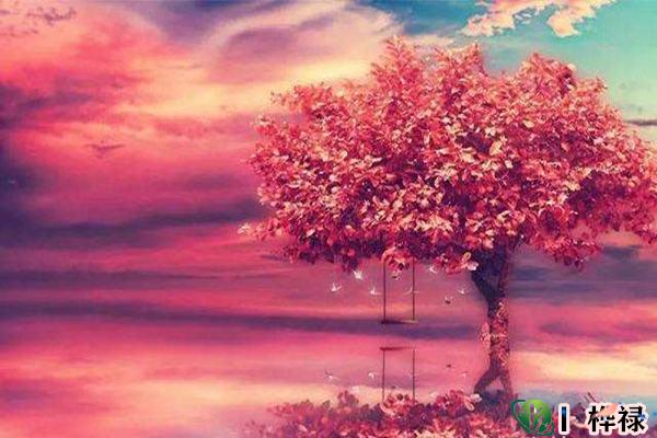 八字财旺能发大财吗-桦玺易学网 八字财旺能发大财吗-桦玺易学网