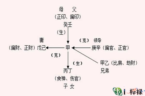 八字十神知识全解-桦玺易学网 八字十神知识全解-桦玺易学网