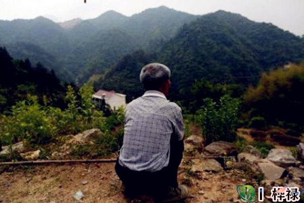 注定打光棍的八字特点-桦玺易学网 注定打光棍的八字特点-桦玺易学网