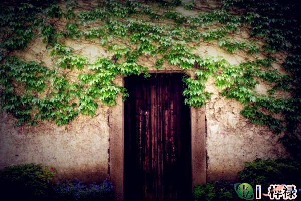 家里阴气太重的原因及化解方法-桦玺易学网 家里阴气太重的原因及化解方法-桦玺易学网