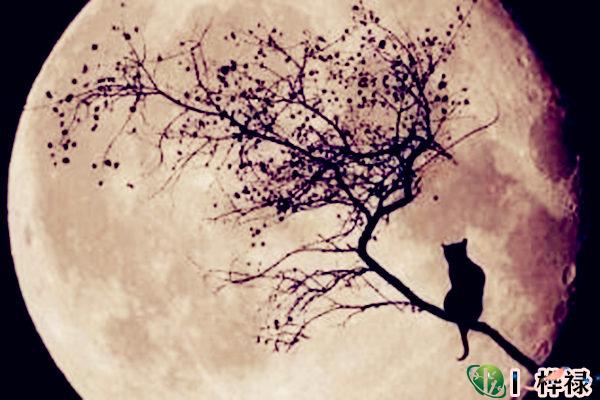 家里阴气太重的原因及化解方法-桦玺易学网 家里阴气太重的原因及化解方法-桦玺易学网