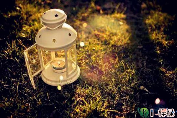 八字从财格详解大全,八字从财格喜忌命理-桦玺易学网 八字从财格详解大全,八字从财格喜忌命理-桦玺易学网