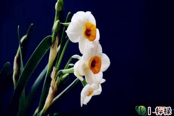 正印与十神的坐支关系-桦玺易学网 正印与十神的坐支关系-桦玺易学网