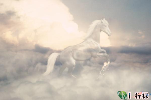 庚日主生于子月命理特点-桦玺易学网 庚日主生于子月命理特点-桦玺易学网