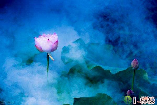 八字争合详解,八字天干争合-桦玺易学网 八字争合详解,八字天干争合-桦玺易学网