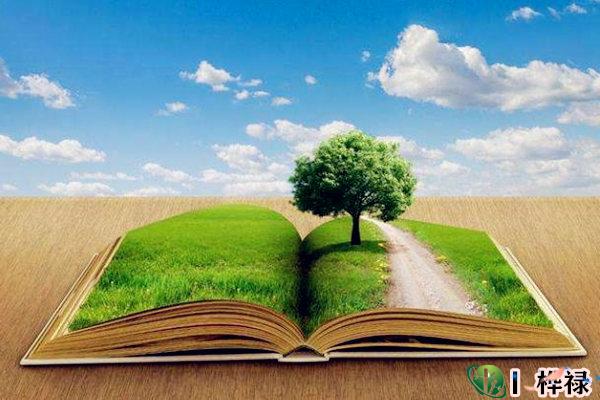 八字正官格详解大全-桦玺易学网 八字正官格详解大全-桦玺易学网