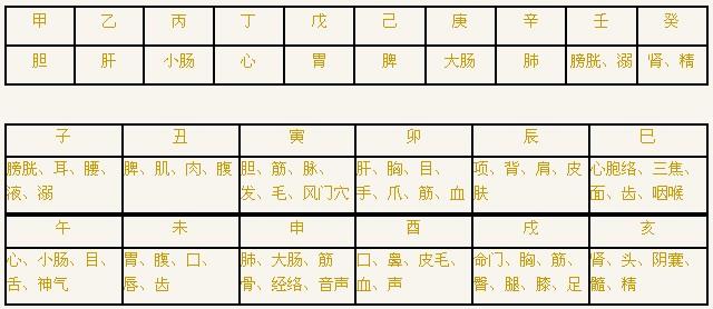 八字天干地支五行身体象义-桦玺易学网 八字天干地支五行身体象义-桦玺易学网