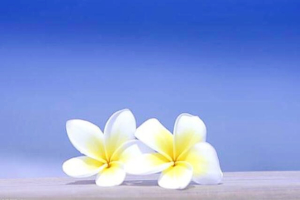 八字格局法论述精解-桦玺易学网 八字格局法论述精解-桦玺易学网