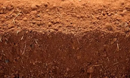 五行土过盛的人命好吗-桦玺易学网 五行土过盛的人命好吗-桦玺易学网