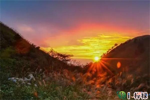 格局高的八字有什么表现-桦玺易学网 格局高的八字有什么表现-桦玺易学网