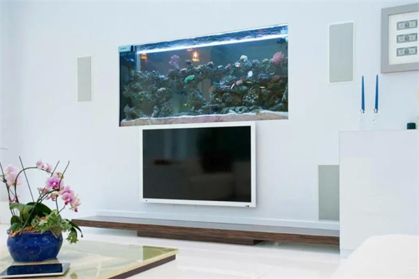 电视机风水五行是火吗-桦玺易学网 电视机风水五行是火吗-桦玺易学网