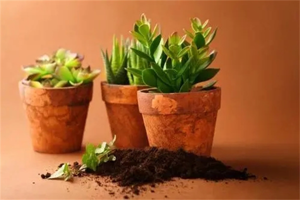 家里留不住财风水(家里留不住财风水怎么化解)-桦玺易学网 家里留不住财风水(家里留不住财风水怎么化解)-桦玺易学网