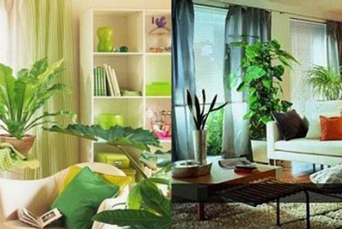 进家门见什么影响风水-桦玺易学网 进家门见什么影响风水-桦玺易学网