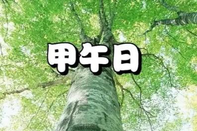 甲午日出生的人命好吗,甲午日各个时辰吉凶-桦玺易学网 甲午日出生的人命好吗,甲午日各个时辰吉凶-桦玺易学网