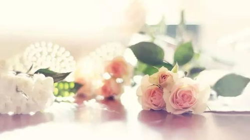 戊戌平地木的人命好坏,戊戌平地木各时辰吉凶解析-桦玺易学网 戊戌平地木的人命好坏,戊戌平地木各时辰吉凶解析-桦玺易学网